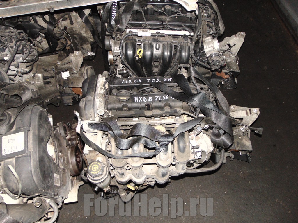 HXDB - Двигатель Ford Focus 2 Duratec-16V 1.6л 115лс 7.jpg